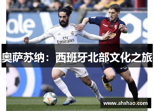 奥萨苏纳：西班牙北部文化之旅
